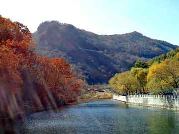 管家婆三肖一碼一定中特，揭秘彩票預測的神秘面紗