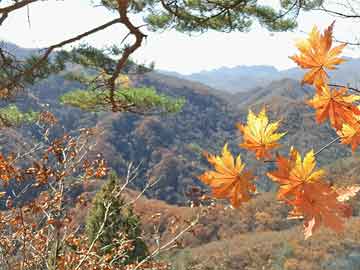 澳門一碼一肖100準(zhǔn)王中鬼谷子——揭秘命運(yùn)之輪的神秘面紗